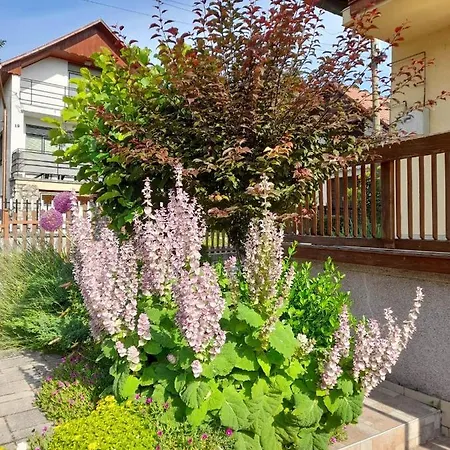 Harmonia Vendeghaz 100 Meterre Az Igali Gyogyfuerdotol إيغال