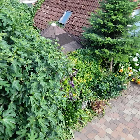 Harmonia Vendeghaz 100 Meterre Az Igali Gyogyfuerdotol Daire Igal