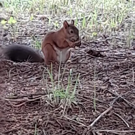 شقة Harmonia Vendeghaz 100 Meterre Az Igali Gyogyfuerdotol *