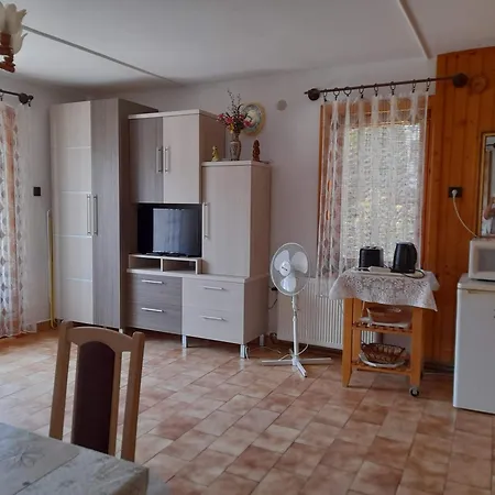 شقة Harmonia Vendeghaz 100 Meterre Az Igali Gyogyfuerdotol