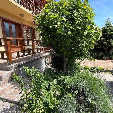 شقة Harmonia Vendeghaz 100 Meterre Az Igali Gyogyfuerdotol إيغال