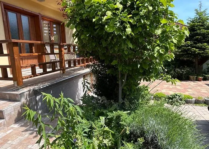 Daire Harmonia Vendeghaz 100 Meterre Az Igali Gyogyfuerdotol Igal